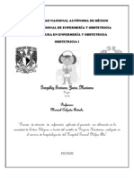 Proceso de atención de enfermería a paciente posparto