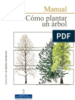 Como Plantar Un Arbol