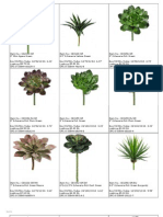 Succulents PDF