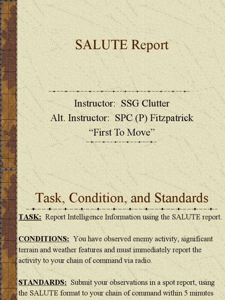 Salute Report Pdf _ SALT and SALUTE reports – BNZPIB