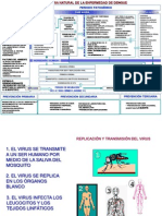 Historia Natural de La Enfermedad Dengue