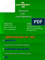 Docking & Ear Trimming-by-Dr - DHIREN BHOI