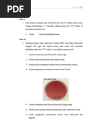 Download Prosedur pemeriksaan gall culture by AmyMarthaNingAti SN127517628 doc pdf