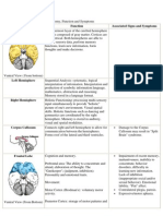 Guide to Brain Anatomy