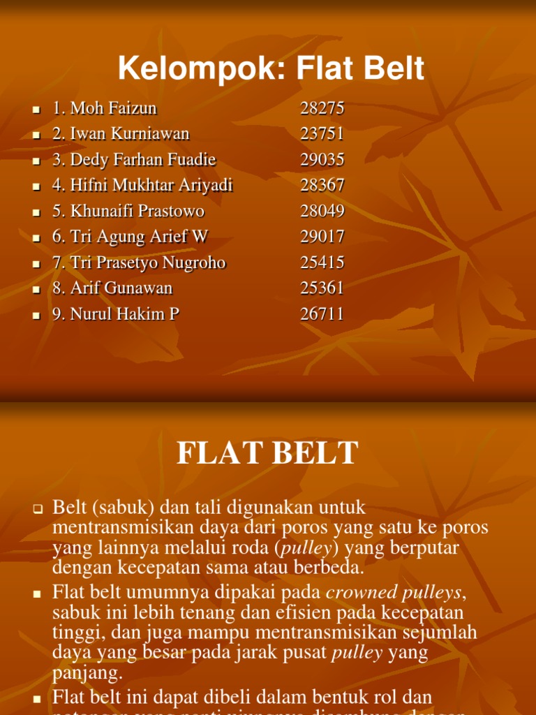 Flat Belt PDF