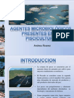 Agentes Microbiológicos Presentes en La Piscicultura