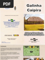 Gal in h Caipira Sistema 0001