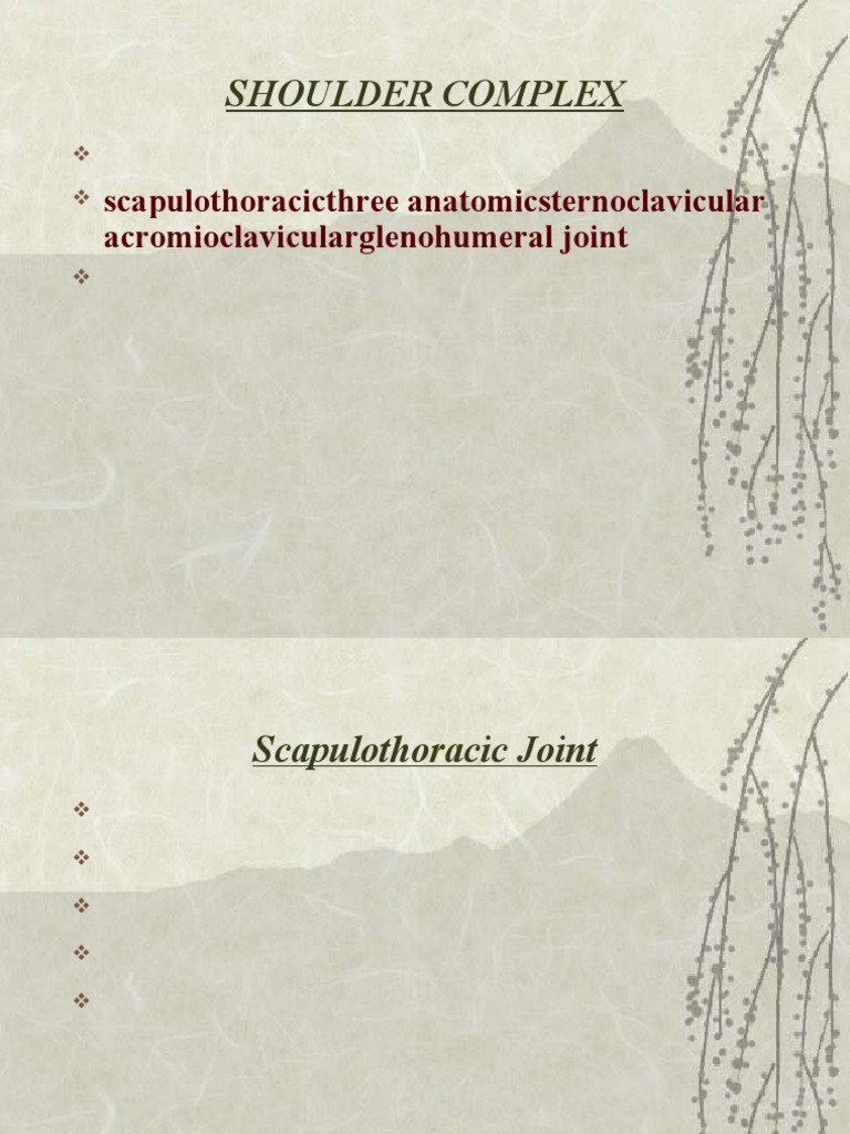 Overview of Shoulder Complex Anatomy | PDF