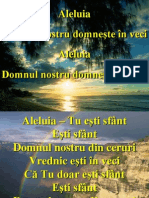 Aleluia Tu Esti Sfant