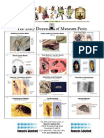 The Dirty Dozen of Museum Pests Single Sheet A4