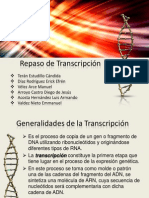 Repaso de Transcripción