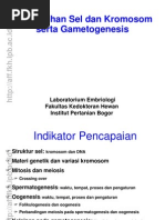 Surat Permohonan Peminjaman Uang Koperasi
