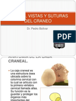 3huesos Del Craneo Dr. Bolivar