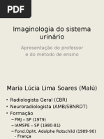 Sist Urinario UFAL6P20091