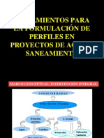 Lineamientos para Formular Perfiles