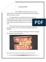 2nd - Dental Anatomy#2