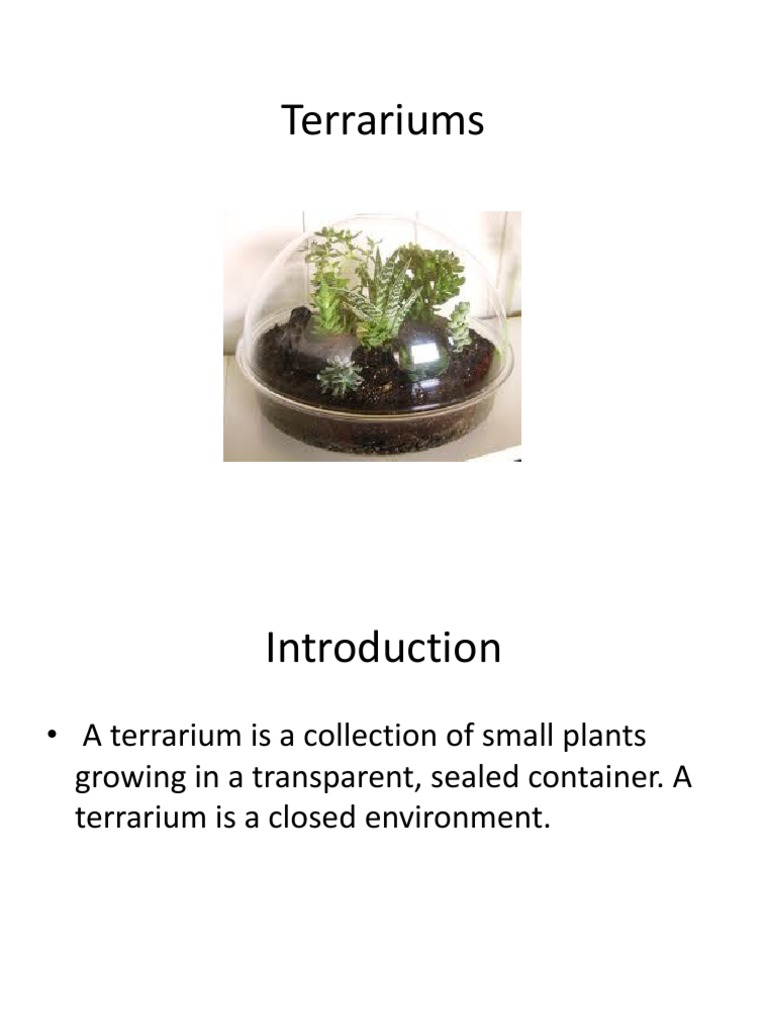 Terrarium layers image