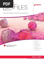 Download Cancer Origins and Carcinogenesis - BioFiles Issue 35 by Sigma-Aldrich SN12763621 doc pdf