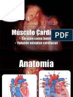 Cap 9, Musculo Cardiaco