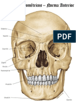 47771380 Puntos Craneometricos