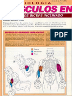 Kinesiologia ( Manual Muscle and Fitness )