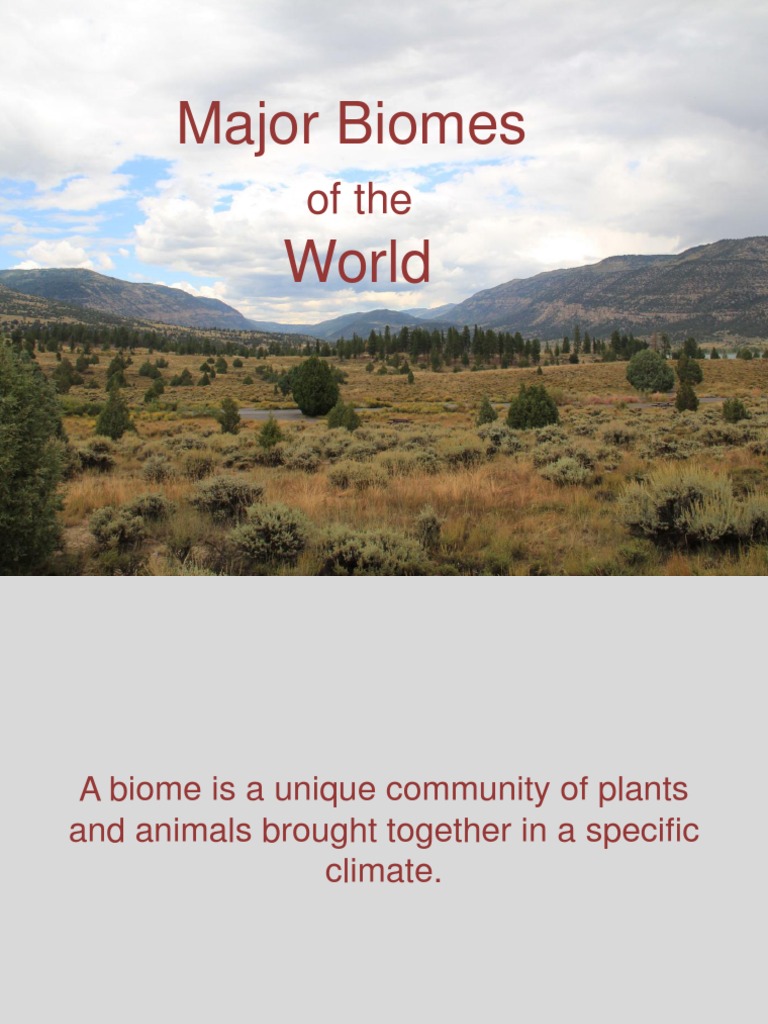 Overview of Global Biomes | PDF | Ecology | Conservation