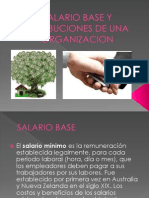 Salario Base y Retribuciones de Una Organizacion (1)