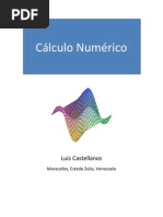 Analisis Numerico | PDF | Análisis numérico | Algoritmos