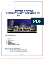 Company Profile Synergy Multi Services (P) LTD
