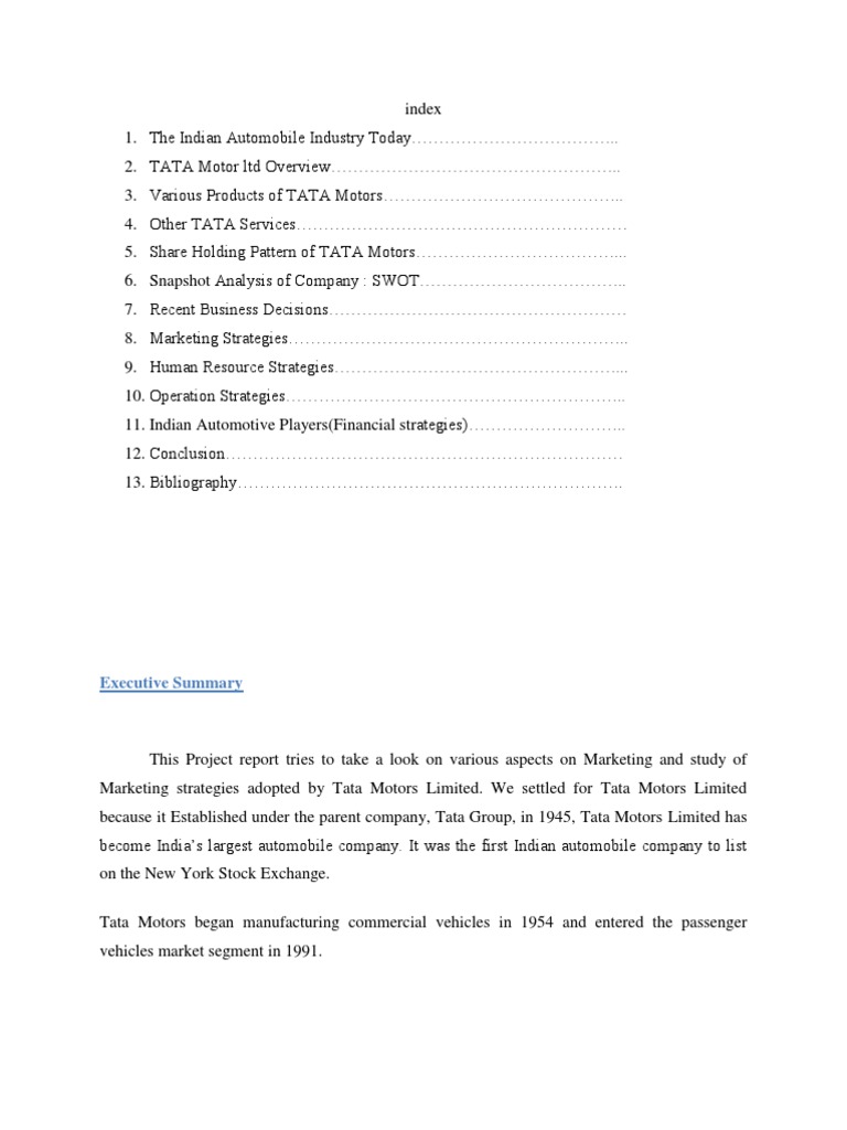Tata Motors Marketing Strategies Overview | PDF | Motor Vehicle | Economies