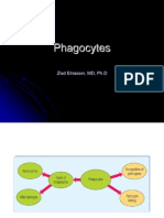 Immunology Slide #16 - Phagocytes