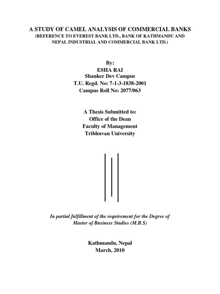 How much is a camel worth picture