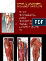 9-rodilla-pierna-100406220756-phpapp02