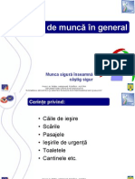 Mediul de Munca PDF