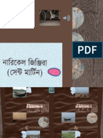 Bangla All Smaller2 Part1