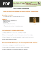 Protocolo Observação de microorganismos numa infusão