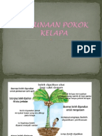 Kegunaan Pokok Kelapa