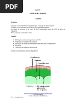 Fisiopelecap01 Estrutura Pele