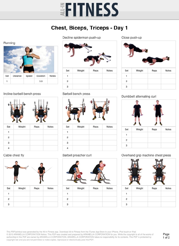 Biceps Triceps Chest Workout | PDF