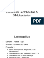 Identifikasi Lactobacillus & Bifidobacterium