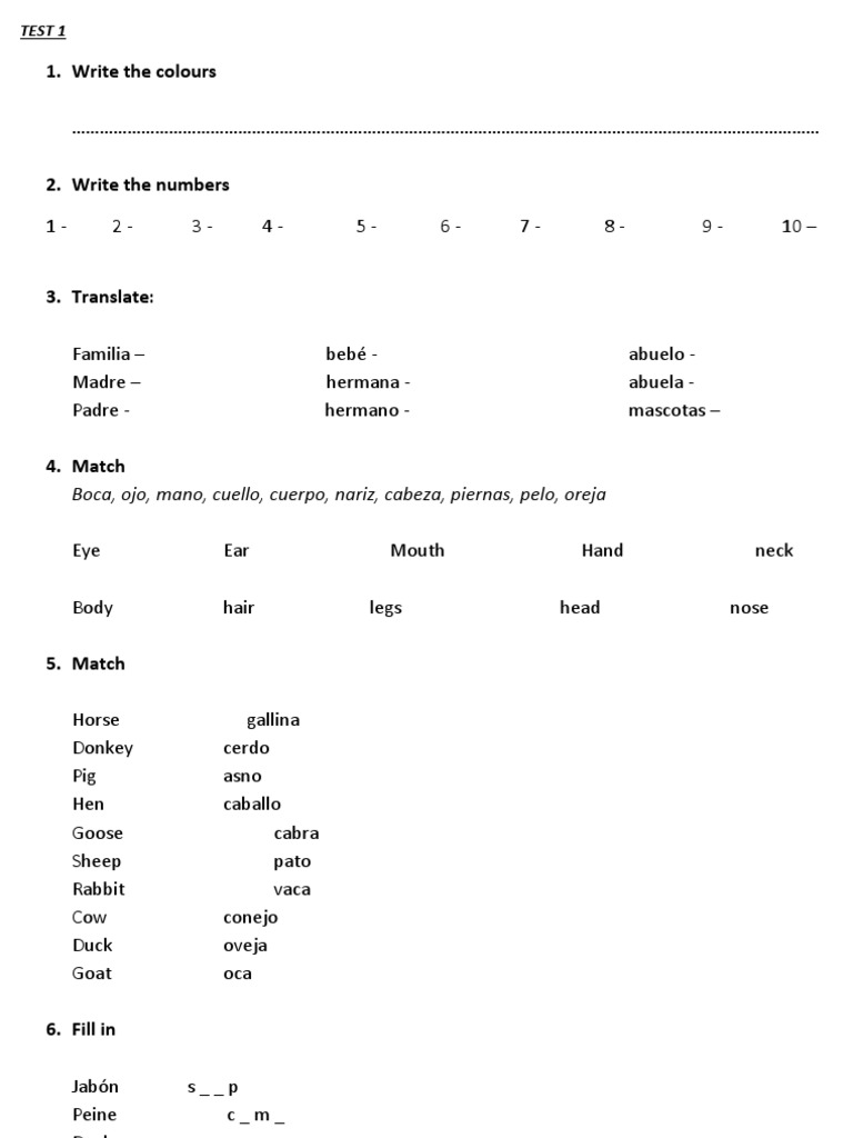 Spanish Language Practice Worksheet | PDF