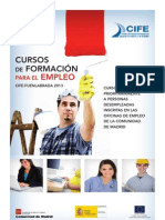 Cursos CIFE 2013