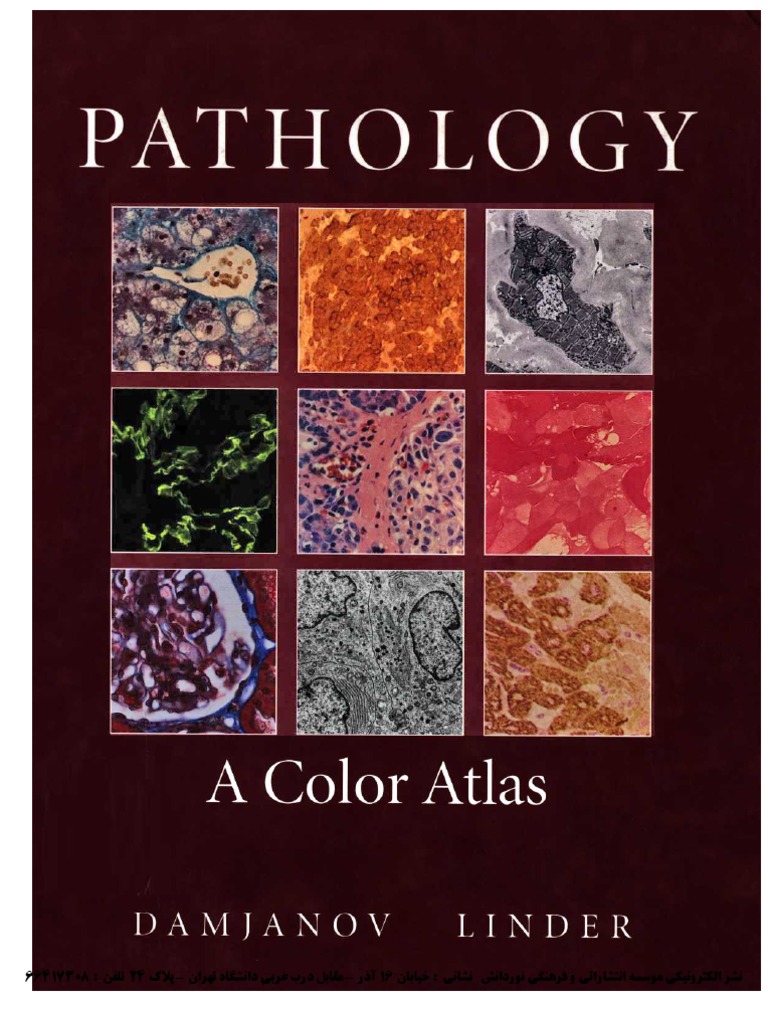 SANDRITTER S COLOR ATLAS AND TEXTBOOK OF MACROPATHOLOGY 4TH ED PDF visual data 7
