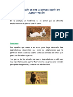 Clasificación de Los Animales Según Su Alimentación