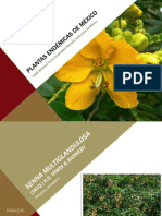PresentacionPlantas UNAM02 PDF