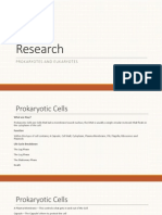 Research: Prokaryotes and Eukaryotes