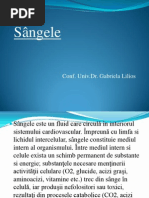 Curs Sange Corectat
