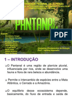 Apres Pantanal