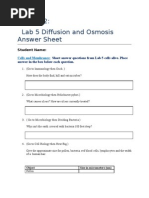 Diffusion and Osmosis Lab Answer Sheet Lab 5