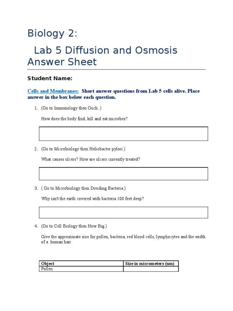 Diffusion and Osmosis Lab Answer Sheet Lab 5 Dialysis Osmosis
